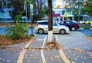 Велодорожки в Краснознаменске