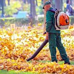 Жители Шлыкова уже не знают куда деваться от шума воздуходувов