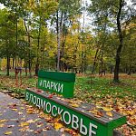 Прозрачен мир литого октября — Краснознаменск