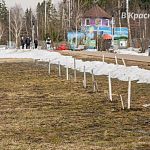 Неудачная попытка озеленения на Новом озере 
