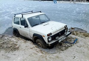 Нива которая не смогла, городской пруд, парк
