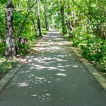 Не пора ли обновить разметку на велодорожках