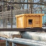 Спасибо неравнодушным жителям нашего города 