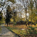 Прогулка по Беличьему парку — Краснознаменск