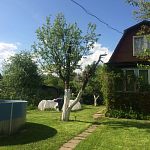 Продам, 50 кв.м, 6 соток, Отдельный дом — Краснознаменск