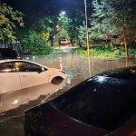 После ночного урагана