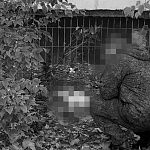 Генерала Шлыкова д.2 Ребёнок выпал из окна 13 этажа - погиб.