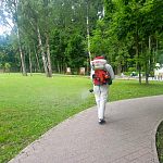 В Беличьем парке сегодня проводится акарицидная обработка