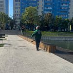 Очень бы хотелось знать какие воображаемые листья пылесосят уже час на озере. 