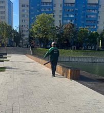 Очень бы хотелось знать какие воображаемые листья пылесосят уже час на озере. 