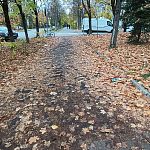 Мусор около магазина Чижик — Краснознаменск
