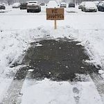 Что сегодня стоит ожидать на всех парковках города