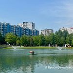 На городском озере вновь появился очаровательный домик для уток