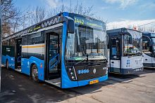 Администрация обратилась в Департамент транспорта с вопросом по работе московских маршрутов