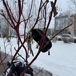 Найдены ключи