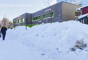 Снежная зима 