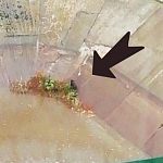 Спасение собаки сотрудниками водоканала