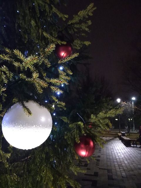 Дождливое преддверие Нового года
