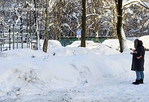 Снежная зима