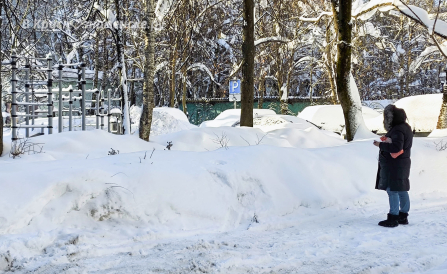 Снежная зима