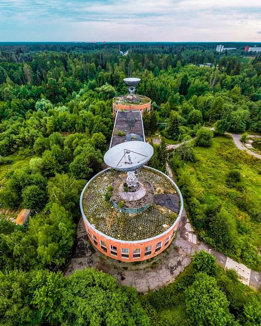 В Краснознаменске обнаружены остатки более развито