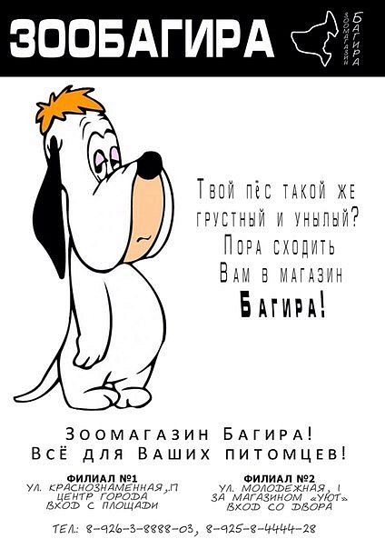 "Багира" дарит подарки за помощь приюту