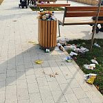 Переполненные урны и кучи мусора на старом озере