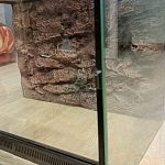 Террариум для рептилий — Краснознаменск