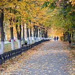 Осенние фотокарточки города — Краснознаменск
