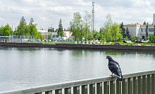 Прогулка по солнечным улицам города