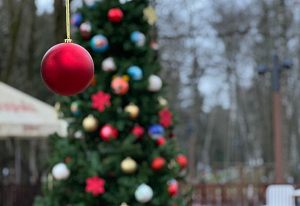 Ёлка в парке Беличий 