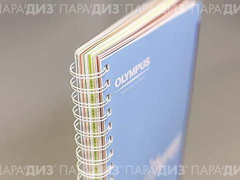 Типография «Парадиз» — Краснознаменск