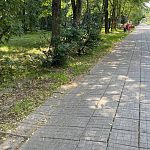 Куда пропали лавочки на Комсомольском бульваре?