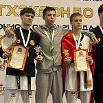 Краснознаменские спортсмены стали победителями первенства ЦФО по тхэквондо ВТФ