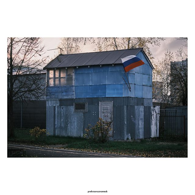 Министерство голубиных делДень | Осень 25