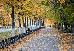 Осень в Краснознаменске