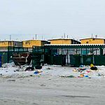 Поле реконструкции мусорки мусор разносится ветром и собаками