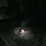 Подростковый беспредел на костровой площадке в парке — Краснознаменск