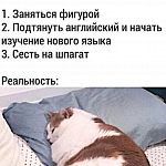 Впереди локдаун, чем планируете заняться в это время?