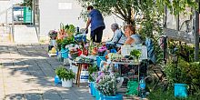 Покупаете ли вы какую-либо продукцию у бабушек торгующих у рынка, помните ли, когда в последний раз что-либо брали у них?
