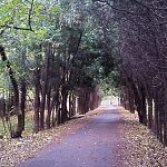 Осенняя прогулка по КГБшке 2013г.