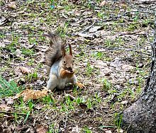 Осенние фотографии Городского парка