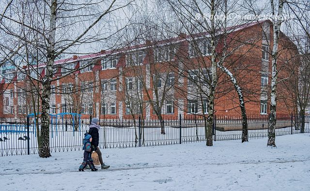 Зимняя прогулка 