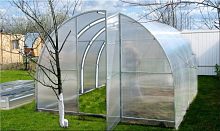 Теплица Престиж 25 (труба оц. 25х25, ширина - 3 м, высота 2,1 м двойные фермы)