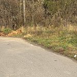 На «чупа-чупсе» опять выбрасывают мусор — Краснознаменск