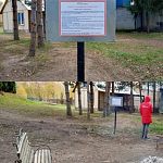 Продолжение истории с костровой зоной в парке — Краснознаменск