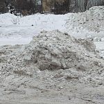  Зачем надо было заваливать почищенные людьми места? 