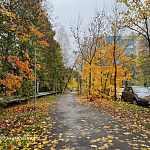 Прогулка по пасмурным улицам города — Краснознаменск