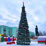 Опрос: самая красивая елка в городе? 