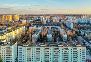 Поросята